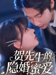 贺先生的隐婚蜜爱