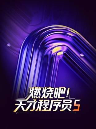 燃烧吧！天才程序员第五季