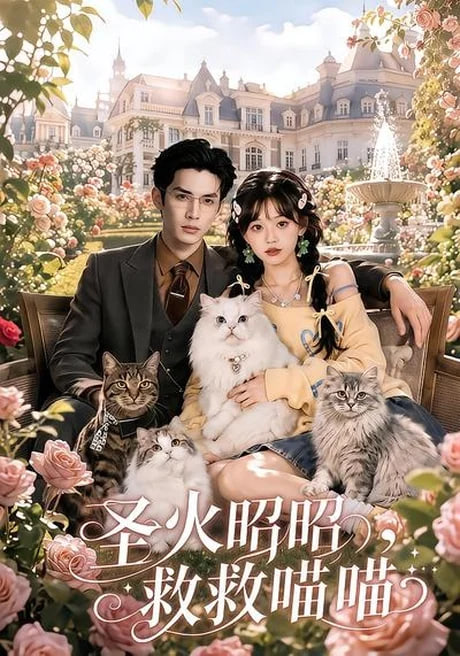圣火昭昭，救救喵喵