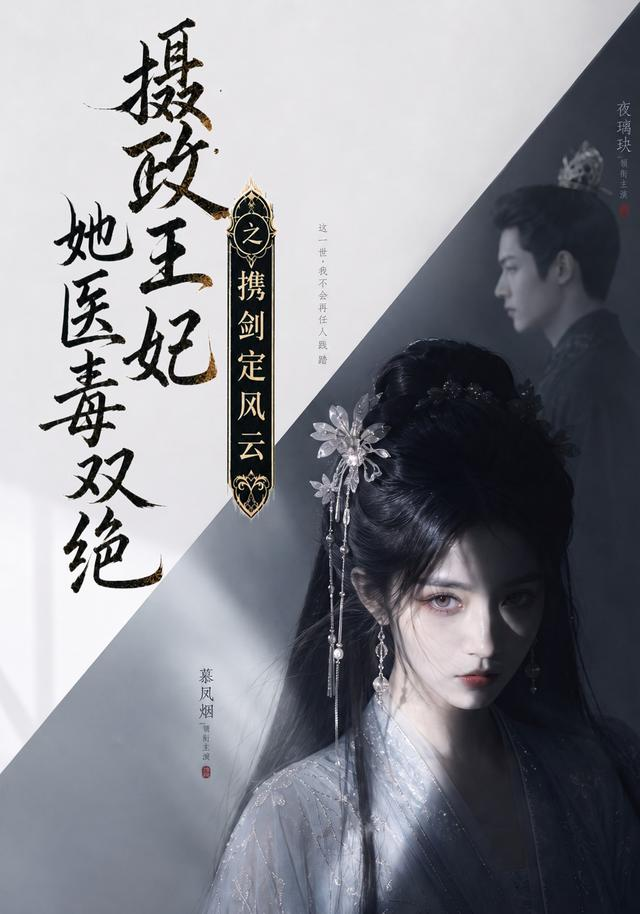 摄政王妃她医毒双绝，携剑定风云