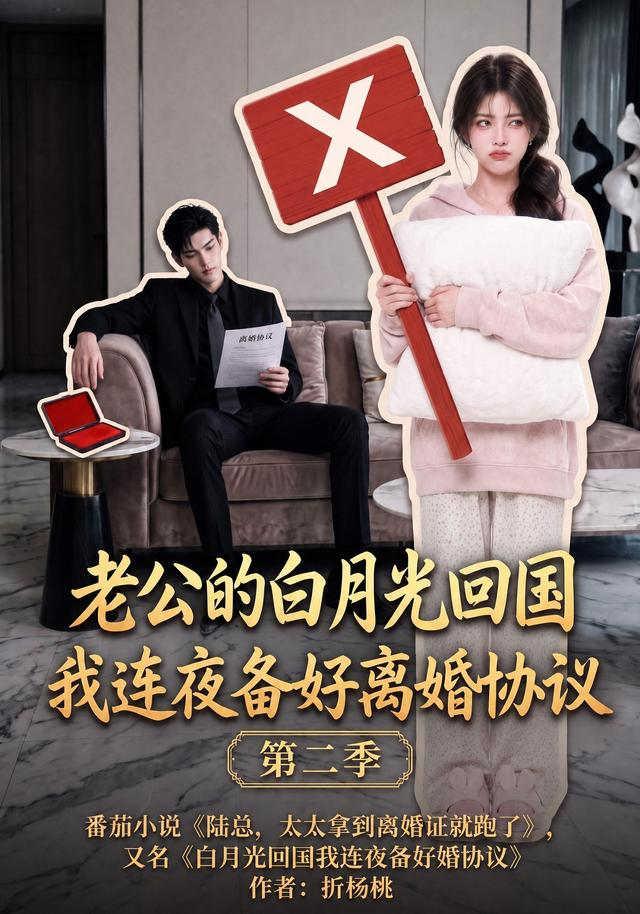 老公的白月光回国我连夜备好离婚协议第二季